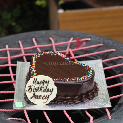 Chocolate Cake with colorful sprinkles