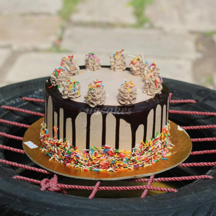 Chocolate Cake with Colorful Sprinkles