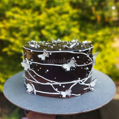 Chocolate Butterfly Cake