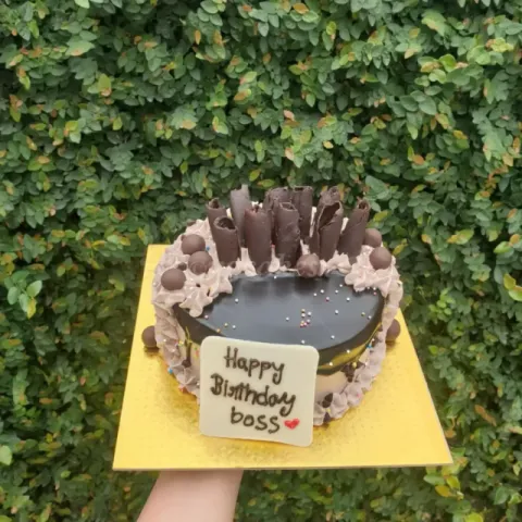 Chocolate cake