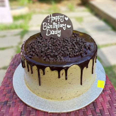 Chocolate Cake with Chips
