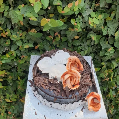 Decadent Chocolate Cake with Chocolate Bark and Delicate Roses