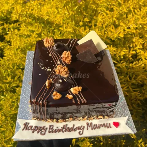 Chocolate cake with walnuts