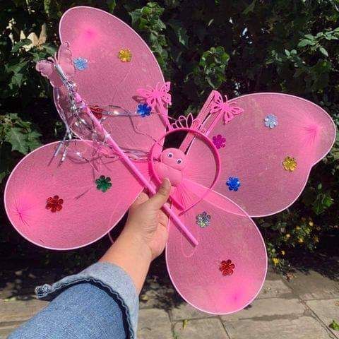 Fairy Wings for Princess