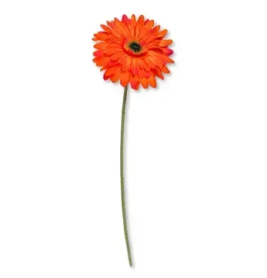 Single piece gerbera 
