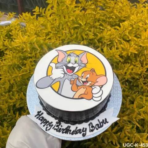 Tom & Jerry Cake