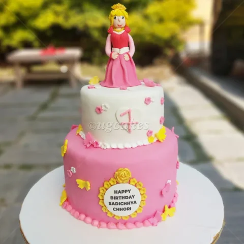 Two Tier Princess Cake